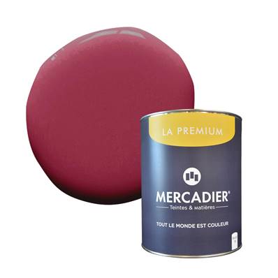 PEINTURE MERCADIER - "LA PREMIUM" -Mazarin