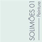 PEINTURE MERCADIER - "LA PREMIUM" (NOUVELLE FORMULE) - Solimoes01