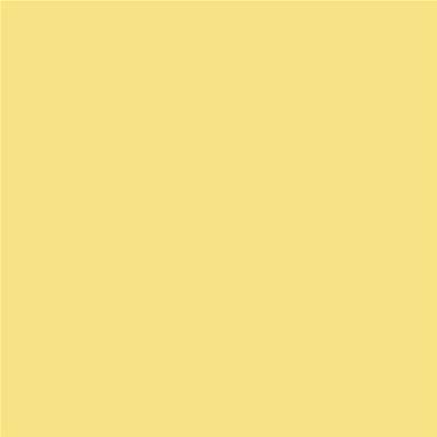 Peinture Farrow & Ball - Dead Flat - 233 Dayroom Yellow - 750 ml