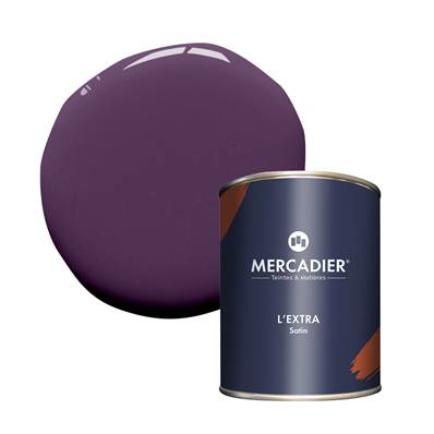 PEINTURE MERCADIER - "L'EXTRA" (NOUVELLE FORMULE) - Prince