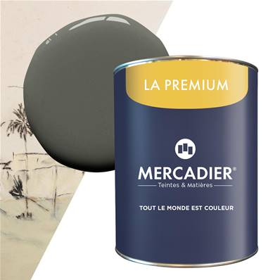 Peinture Mercadier - La Premium - Maison Levy - Fusain - 1 Litre