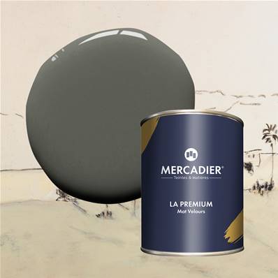 Peinture Mercadier - La Premium - Maison Levy - Fusain - 1 Litre