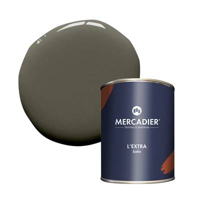 PEINTURE MERCADIER - "L'EXTRA" (NOUVELLE FORMULE) - Solimoes