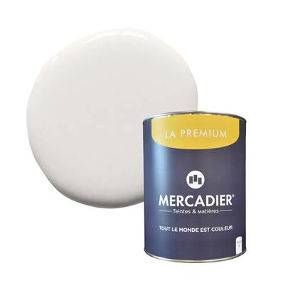 PEINTURE MERCADIER - "LA PREMIUM" - Brutus01