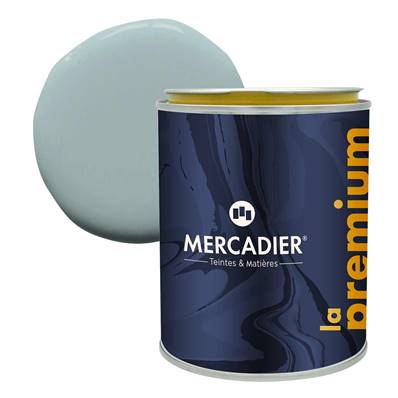 PEINTURE MERCADIER - "LA PREMIUM" (NOUVELLE FORMULE) - Solimoes02