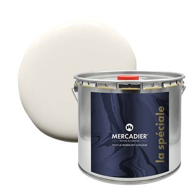 Peinture Mercadier - "La Spéciale" - Skin - 10 Litres