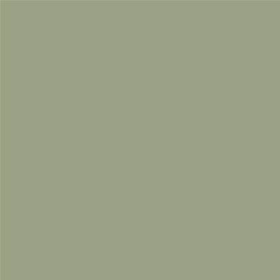 Peinture Farrow & Ball - Dead Flat - 19 Lichen - 750 ml