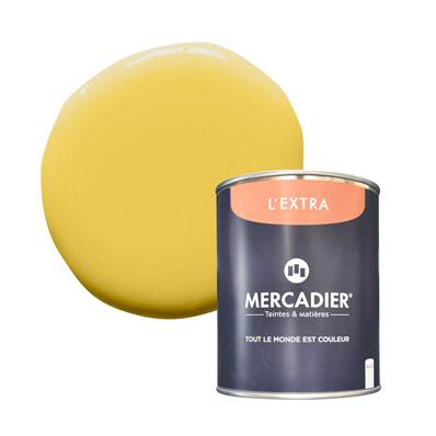 PEINTURE MERCADIER - "L'EXTRA" - John