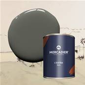 Peinture Mercadier - L'Extra - Maison Levy - Fusain - 1 Litre