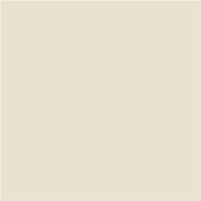 Peinture Farrow & Ball - Dead Flat - 241 Skimming Stone - 750 ml