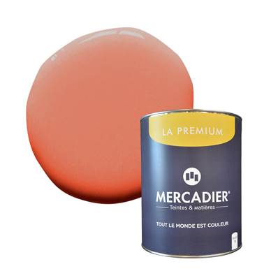 PEINTURE MERCADIER - "LA PREMIUM" - Bourke