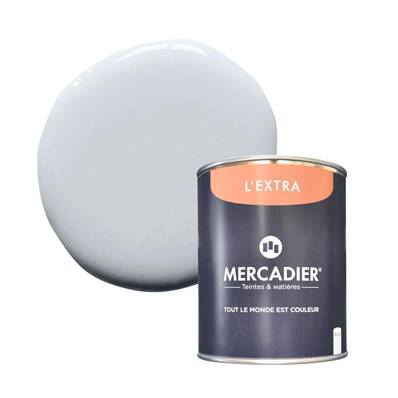 PEINTURE MERCADIER - "L'EXTRA" - Serge