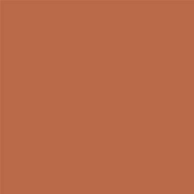 Peinture Farrow & Ball - Dead Flat - 64 Red Earth - 750 ml