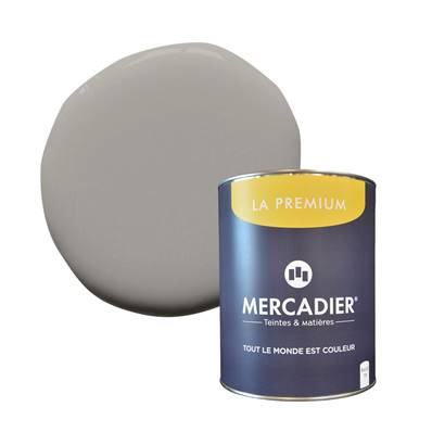 PEINTURE MERCADIER - "LA PREMIUM" - Thabor