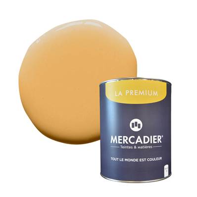 PEINTURE MERCADIER - "LA PREMIUM" -XO