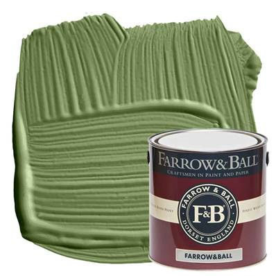 Farrow & Ball - Exterior Eggshell - Peinture Extérieur - 34 Calke Green - 2,5 Litres