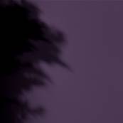 PEINTURE MERCADIER - "LA PREMIUM" - Prince