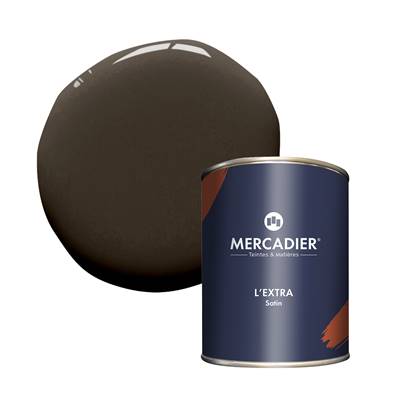 PEINTURE MERCADIER - "L'EXTRA" (NOUVELLE FORMULE) - What Else