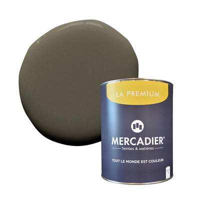 PEINTURE MERCADIER - "LA PREMIUM" -Brutus