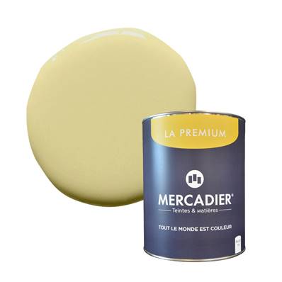 PEINTURE MERCADIER - "LA PREMIUM" -Cesar