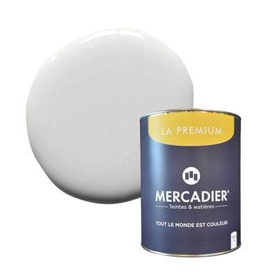 PEINTURE MERCADIER - "LA PREMIUM" - Solimoes01