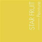 PEINTURE MERCADIER - "La Spèciale" -Star-Fruit