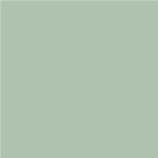 Farrow & Ball - Exterior Eggshell - Peinture Extérieur - 236 Teresa's Green - 2,5 Litres