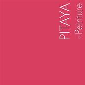 PEINTURE MERCADIER - 'LA SPÉCIALE' - Pitaya