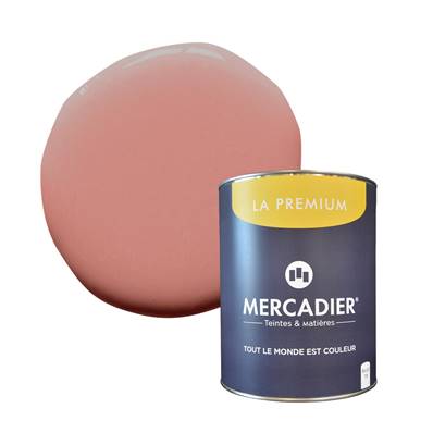 PEINTURE MERCADIER - "LA PREMIUM" - Tataouine