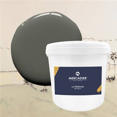 Peinture Mercadier - La Premium - Maison Levy - Fusain - 10 Litres