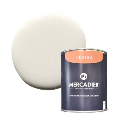 PEINTURE MERCADIER - "L'EXTRA" - Skin