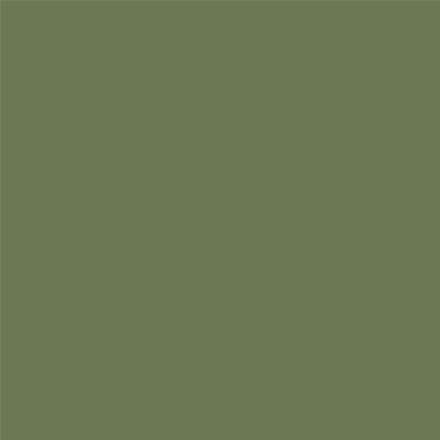 Peinture Farrow & Ball - Dead Flat - 34 Calke Green - 750 ml