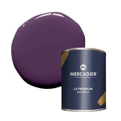 PEINTURE MERCADIER - "LA PREMIUM" (NOUVELLE FORMULE) - Prince
