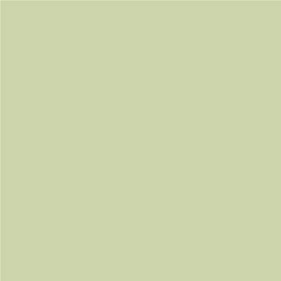 Peinture Farrow & Ball - Dead Flat - 32 Cooking Apple Green - 750 ml