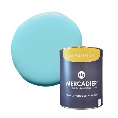 PEINTURE MERCADIER - "LA PREMIUM" -Nuuk