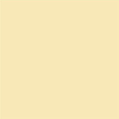 Peinture Farrow & Ball - Dead Flat - 08 String - 750 ml