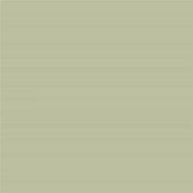 Peinture Farrow & Ball - Dead Flat - 234 Vert de Terre - 750 ml