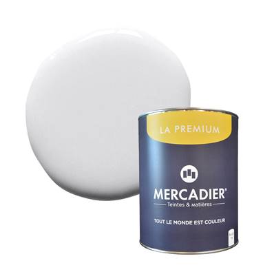 PEINTURE MERCADIER - "LA PREMIUM" - Flipper