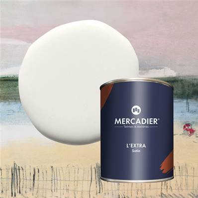 Peinture Mercadier - L'Extra - Maison Levy - Nuage - 1 Litre