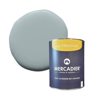 PEINTURE MERCADIER - "LA PREMIUM" - Solimoes02