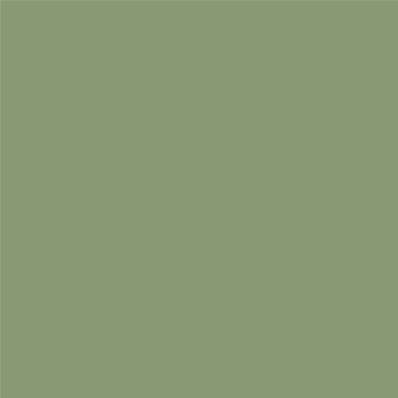 Peinture Farrow & Ball - Dead Flat - 287 Yeabridge Green - 750 ml