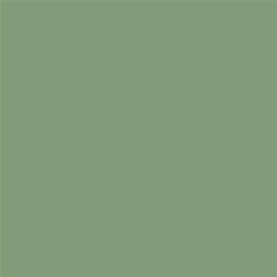 Peinture Farrow & Ball - Dead Flat - 81 Breakfast Room Green - 750 ml