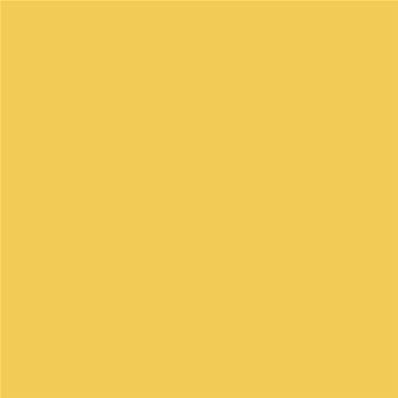 Peinture Farrow & Ball - Dead Flat - 218 Yellow Ground - 750 ml