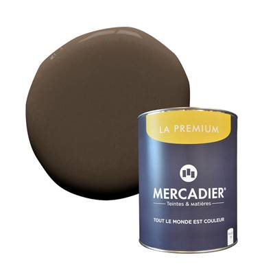 PEINTURE MERCADIER - "LA PREMIUM" - What Else