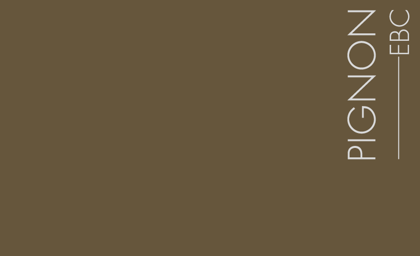 Pignon - Un marron chaud  très nature et intense 