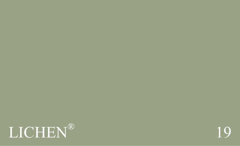 Couleur Peinture Farrow & Ball 19 Lichen : Plus calme et plus subtile que le no. 13 Olive, pour les pièces bien éclairées.