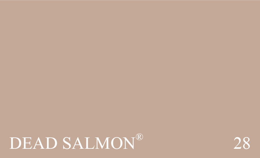 28 DEAD SALMON