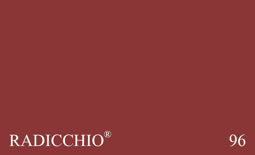 Couleur Peinture Farrow & Ball 96 Radicchio : Une version plus franche, moins vieillie, du no. 43 Eating Room Red®. Un rouge intense adouci par du magenta.
