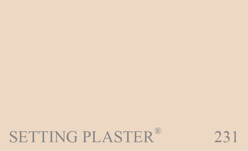  231 SETTING PLASTER