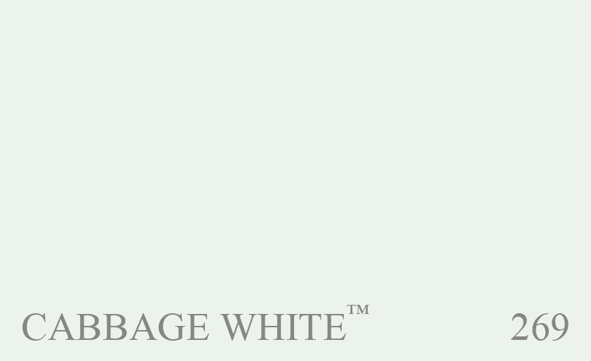 Couleur 269 Cabbage White : Une couleur merveilleuse et pure qui tire son nom des ailes caractéristiques du papillon blanc du chou. Légèrement plus claire et plus chaude que Borrowed Light.